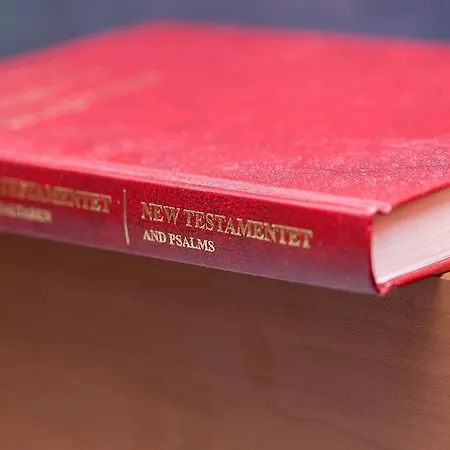 Omena Loennrotinkatu 3*